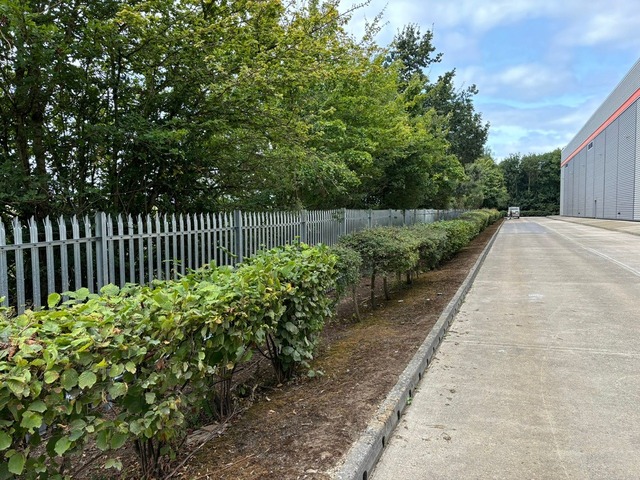 steel palisade security fence in Swindon